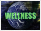 ПОЛ ЗЕЙН ПИЛЗЕР  ИНДУСТРИЯ WELLNESS
